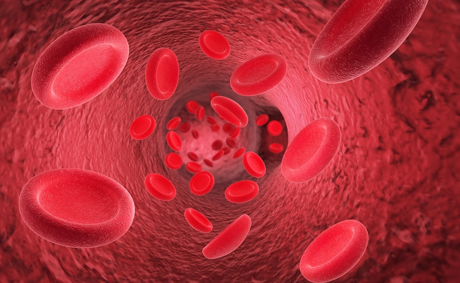 راه های درمان و علائم غلظت خون زنان و مردان + از کجا بدانیم؟