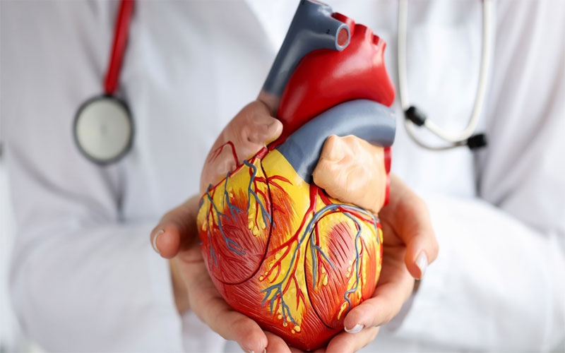 متخصص قلب در کرج + بهترین دکتر قلب در کرج کیست؟